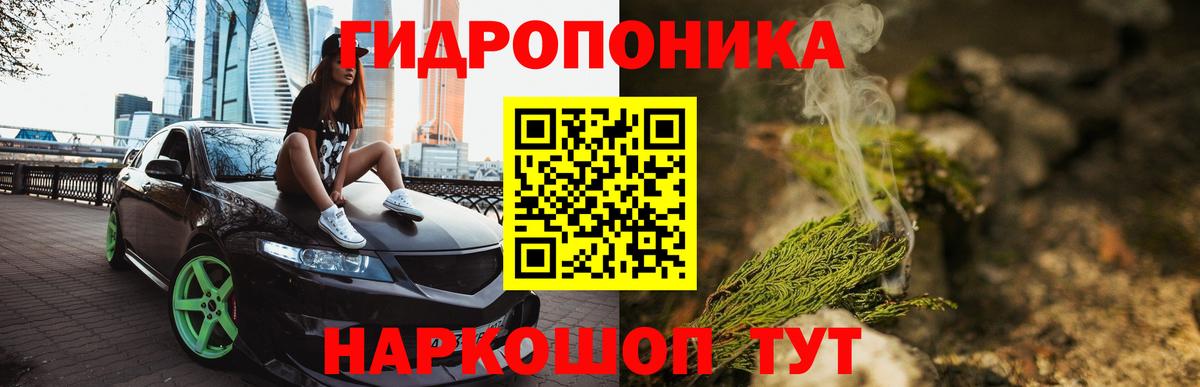Каннабис OG Kush Керчь